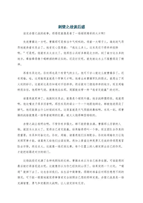 刺壁之战读后感