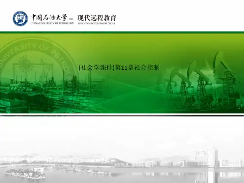 (社会学课件)第11章社会控制