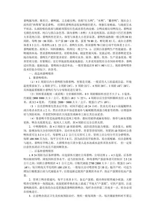 番鸭喂养方法经验