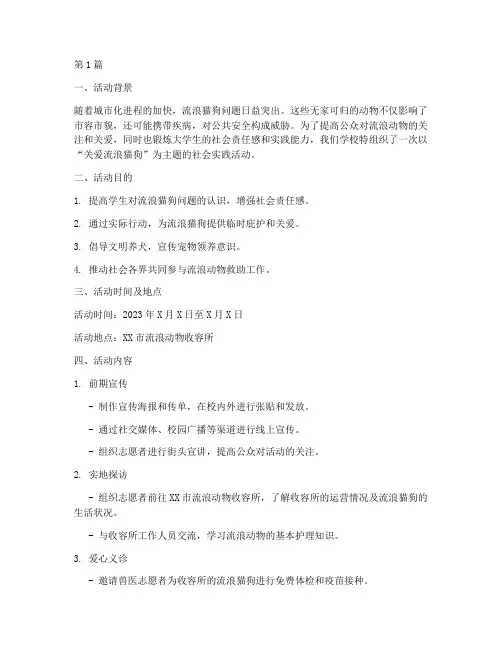 流浪猫狗社会实践活动(3篇)