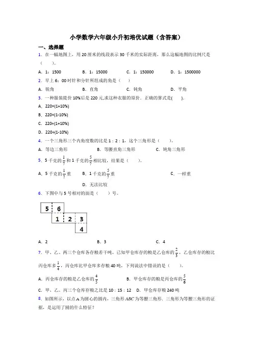 小学数学六年级小升初培优试题(含答案)