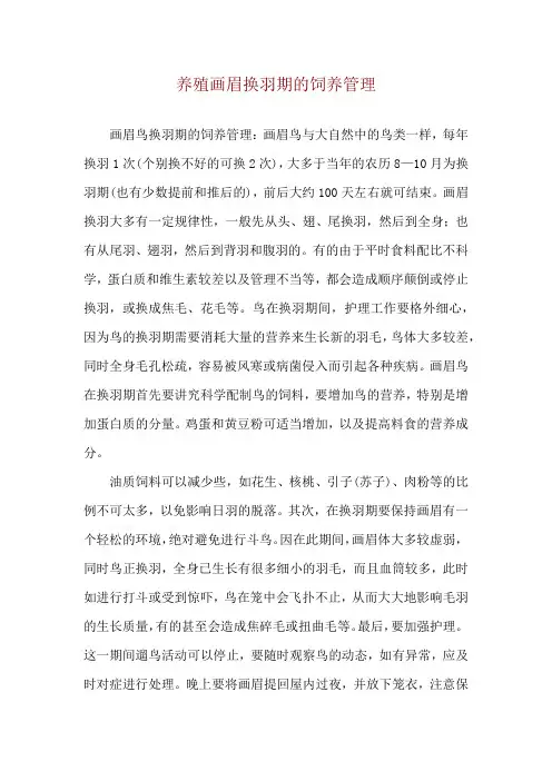 养殖画眉换羽期的饲养管理