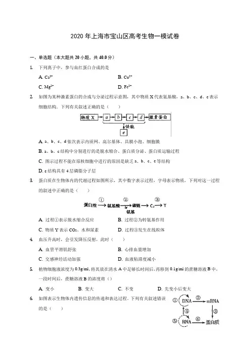 2020年上海市宝山区高考生物一模试卷(含答案解析)
