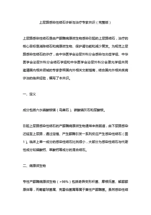 上尿路感染性结石诊断与治疗专家共识(完整版)