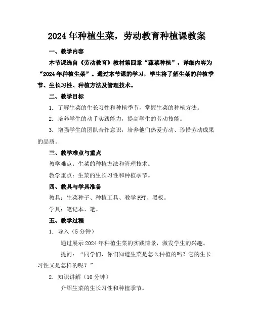 2024年种植生菜,劳动教育种植课教案