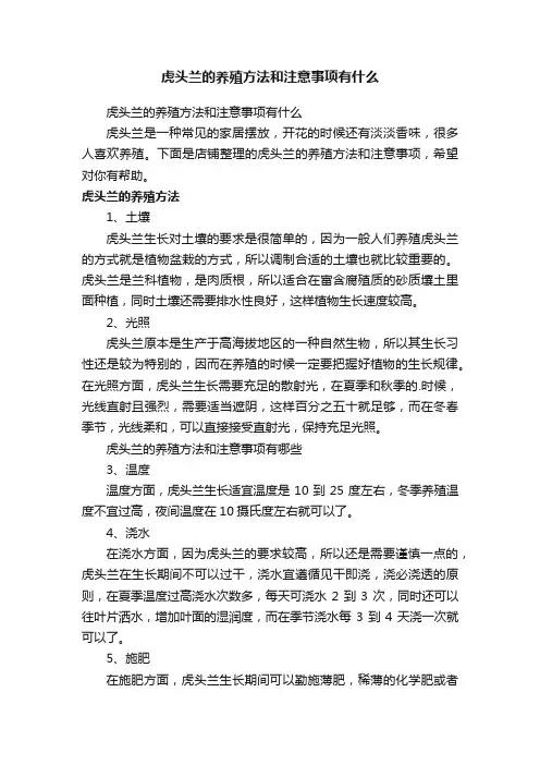 虎头兰的养殖方法和注意事项有什么