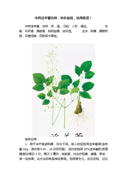 中药淫羊藿功效：补肝益肾，祛风除湿！