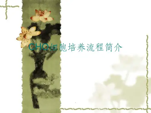 CHO细胞大规模悬浮培养流程简介