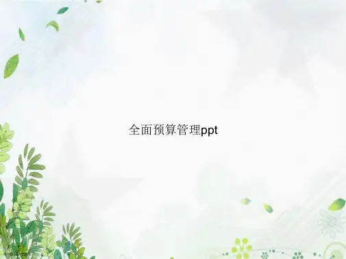 全面预算管理ppt讲课文档