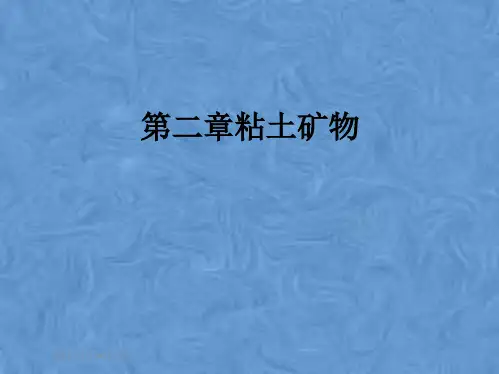 第二章粘土矿物