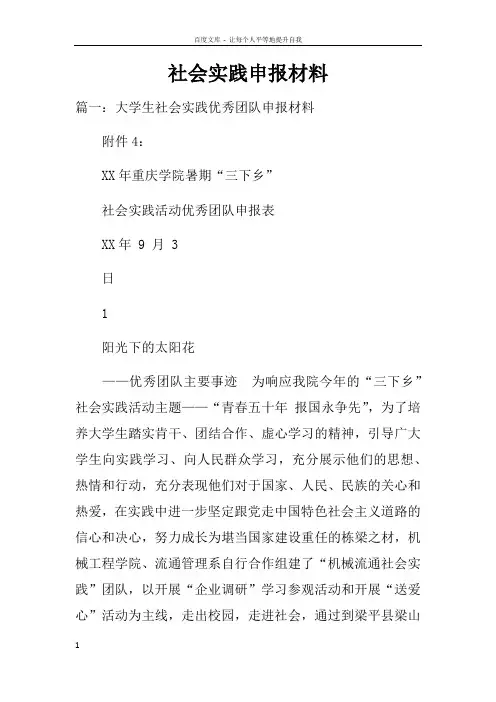 社会实践申报材料doc