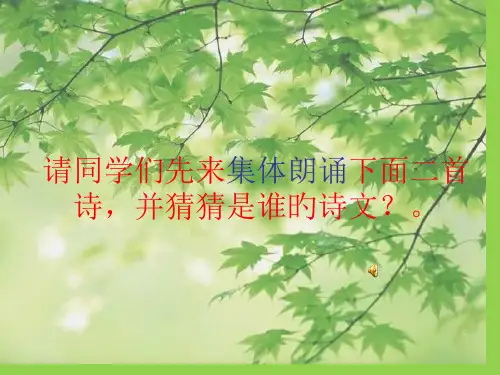 32_梦和泪专业知识课件