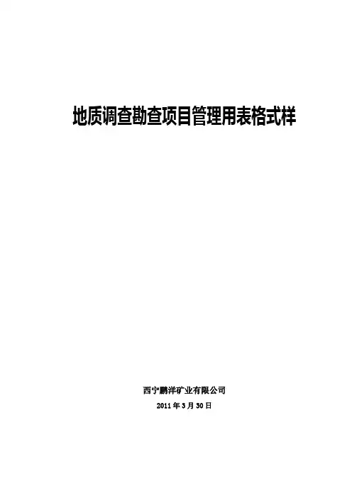 地质调查勘查项目管理用表格式样
