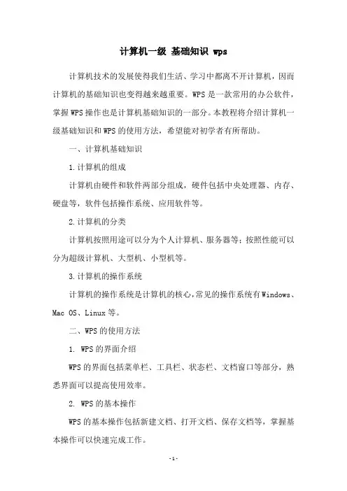 计算机一级 基础知识 wps