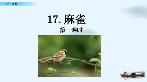 人教(部编版)麻雀PPT公开课课件1