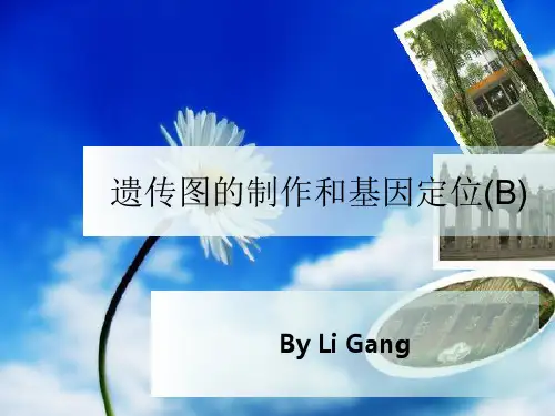 遗传图的制作和基因定位(B)