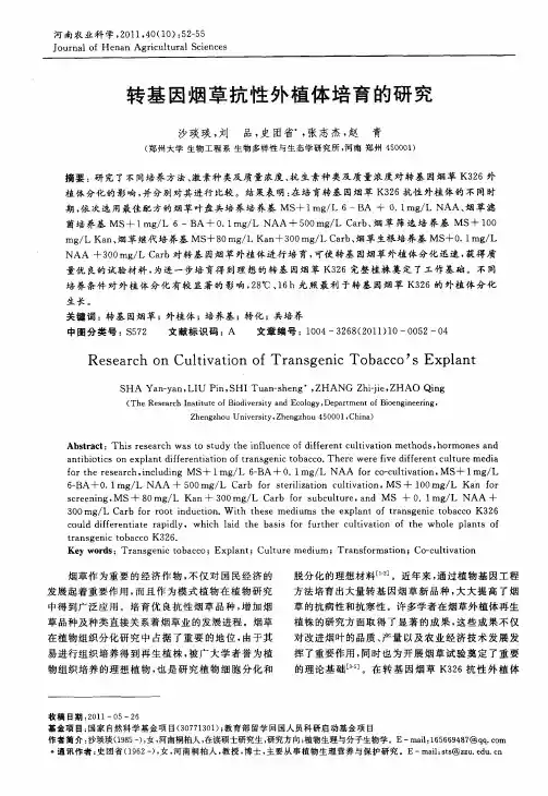 转基因烟草抗性外植体培育的研究