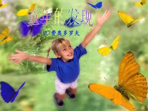 《童年的发现》PPT课件