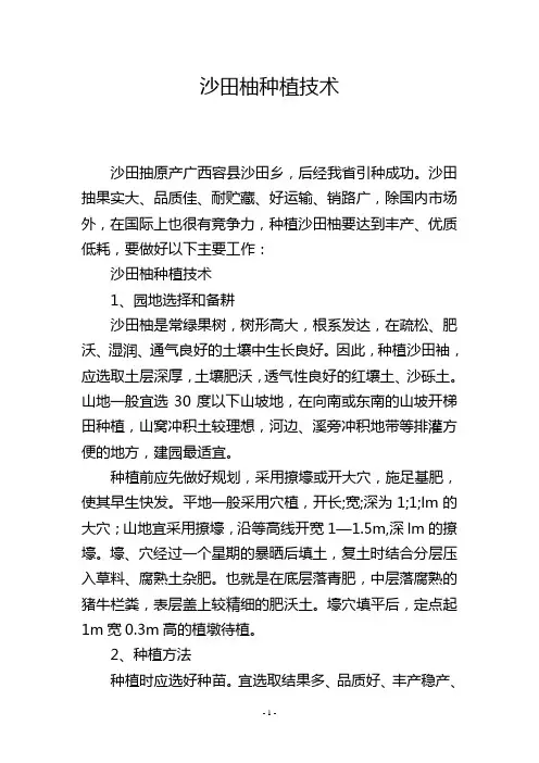 沙田柚种植技术