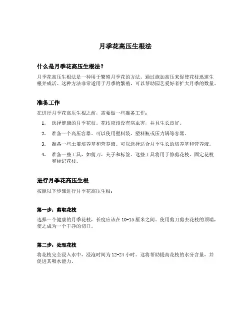 月季花高压生根法