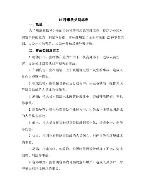 12种事故类别标准