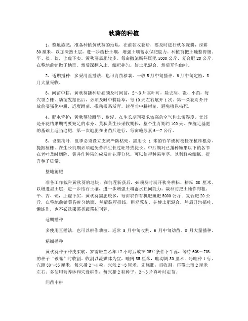秋葵的种植