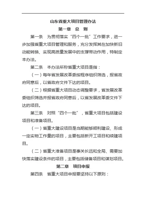 山东省重大项目管理办法
