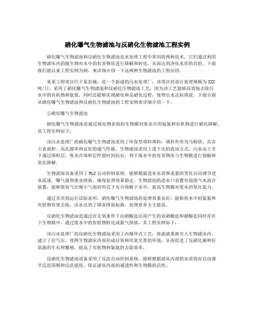 硝化曝气生物滤池与反硝化生物滤池工程实例