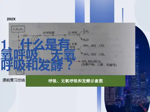实验五霉菌的形态结构观察