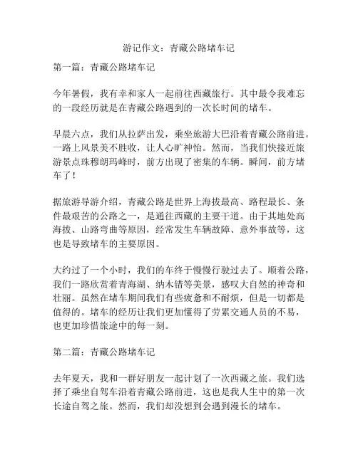 游记作文：青藏公路堵车记