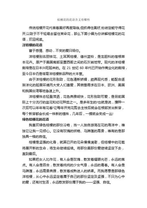 桔梗花的花语含义有哪些_鲜花礼仪_