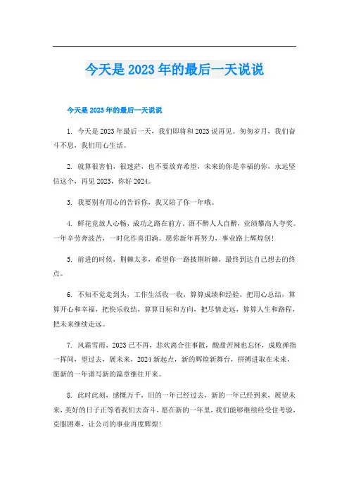 今天是2023年的最后一天说说