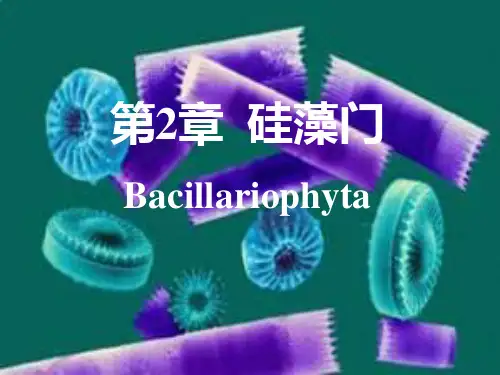 浮游生物学 第2章  硅藻门