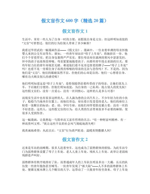 假文盲作文600字(精选20篇)