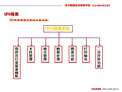 用友软件T6UFO报表培训资料