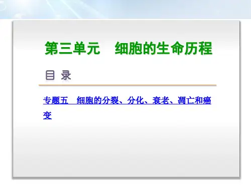 2020届高考生物二轮专题复习精品课件：专题3-5细胞生命历程-全国卷地区