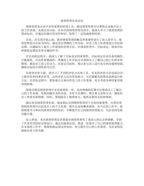 绩效管理实训总结