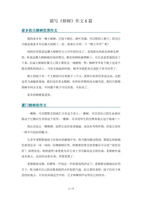 描写《榕树》作文6篇