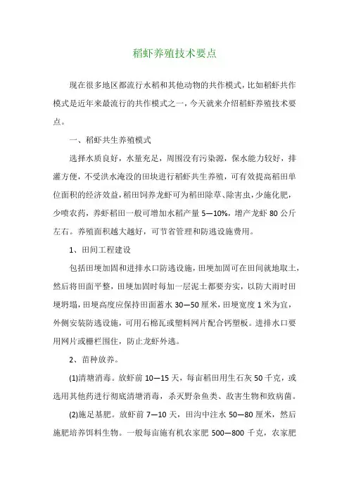 稻虾养殖技术要点