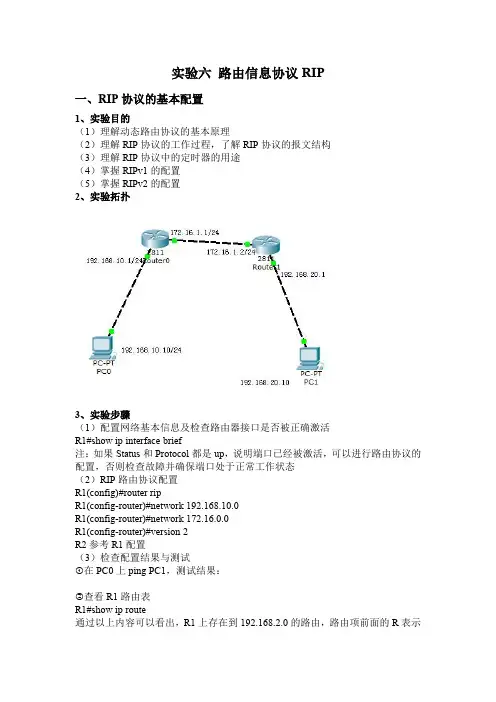 实验六RIP路由协议