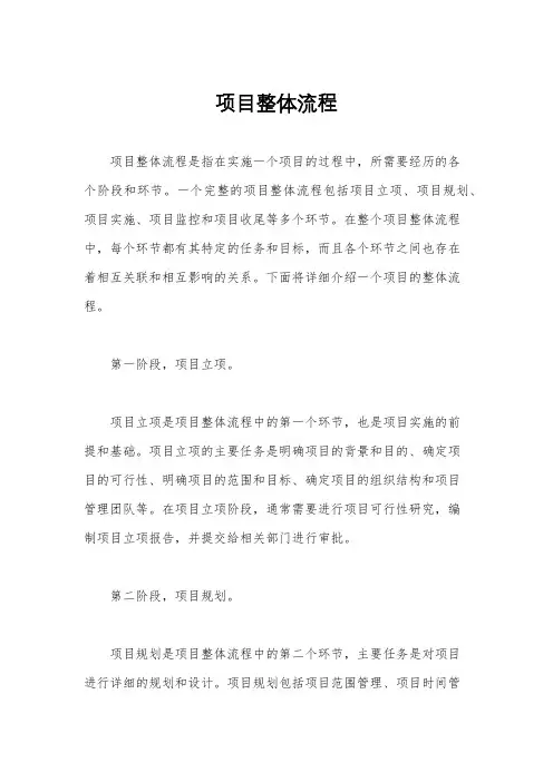 项目整体流程