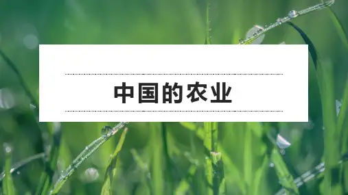 2021年高考地理一轮复习区域地理：中国的农业(课件)