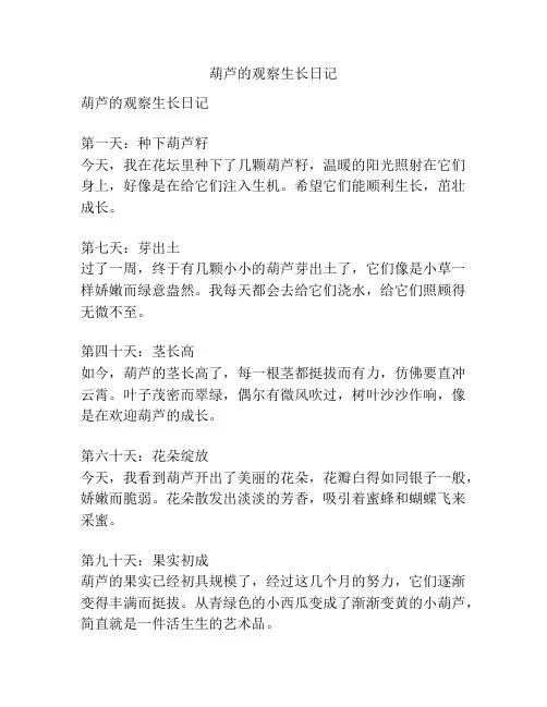 葫芦的观察生长日记