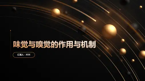味觉与嗅觉的作用与机制