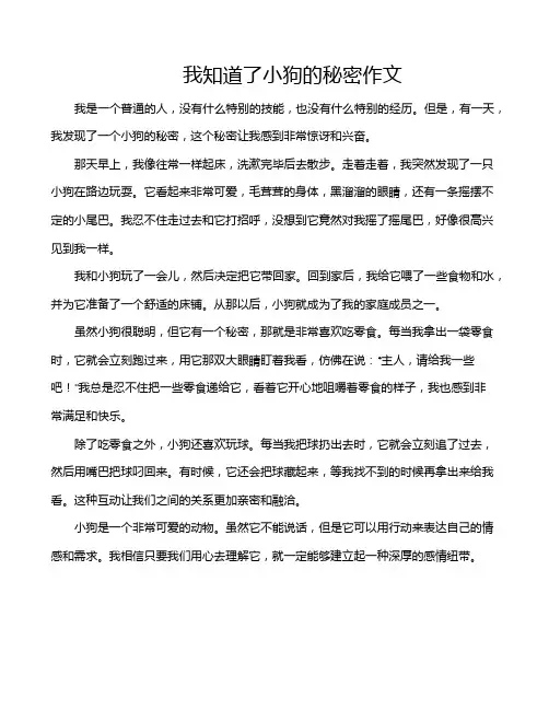 我知道了小狗的秘密作文