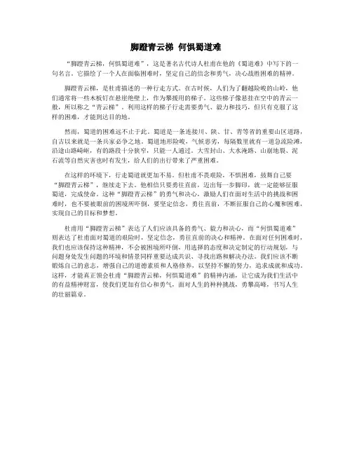 脚蹬青云梯 何惧蜀道难