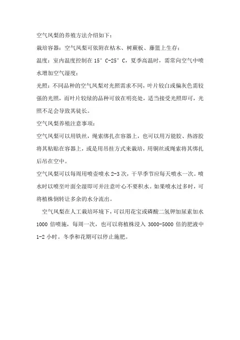 空气凤梨的养殖方法