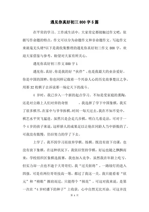 遇见你真好初三800字5篇