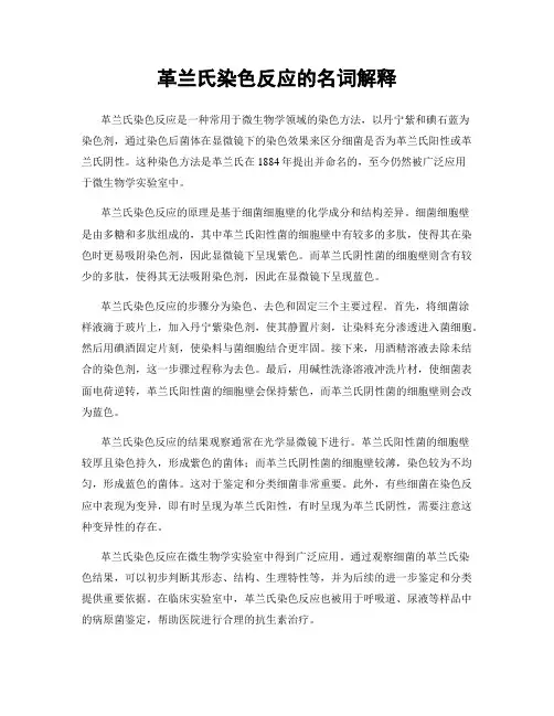 革兰氏染色反应的名词解释