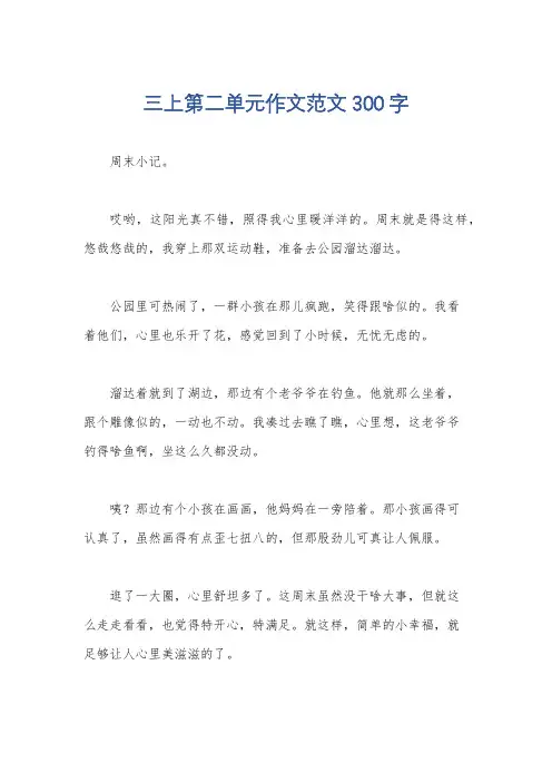 三上第二单元作文范文300字